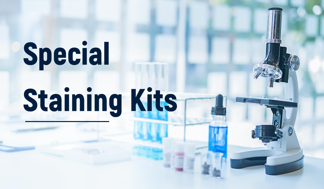 Expanding Our Special Staining Portfolio: New Products Now Available!